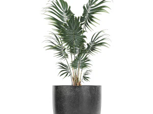 collection of decorative plants in flowerpots 816 3D Model