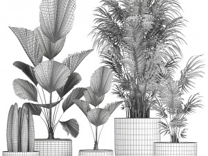 collection of decorative plants in flowerpots 816 Modelo 3D