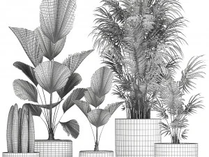 collection of decorative plants in flowerpots 816 3D Model