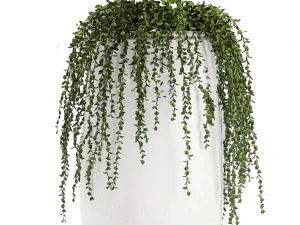 collection of decorative plants in white flowerpots 817 3D Model