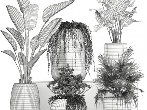 collection of decorative plants in white flowerpots 817 3D 模型