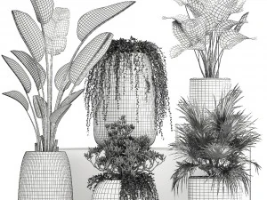 collection of decorative plants in white flowerpots 817 3D Model