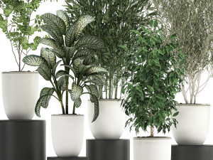 collection of decorative trees in white flowerpots 819 3D Модель