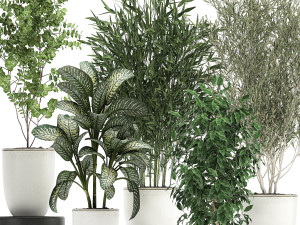 collection of decorative trees in white flowerpots 819 3D Модель