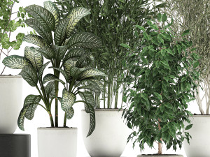 collection of decorative trees in white flowerpots 819 3D Модель