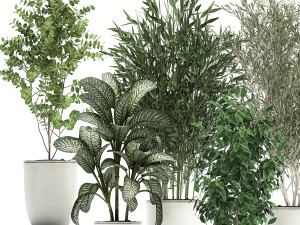collection of decorative trees in white flowerpots 819 3D Модель