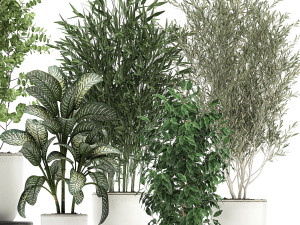 collection of decorative trees in white flowerpots 819 3D Модель