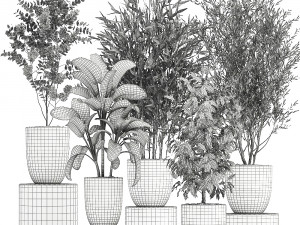 collection of decorative trees in white flowerpots 819 3D Модель