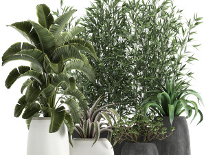 collection of decorative plants in flowerpots 820 3D Model