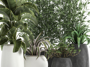 collection of decorative plants in flowerpots 820 3D Model