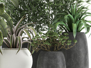 collection of decorative plants in flowerpots 820 3D Model