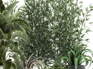 collection of decorative plants in flowerpots 820 3D Model