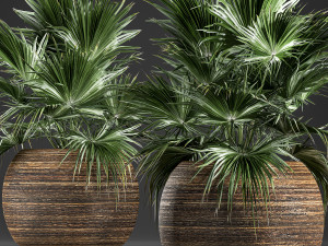 decorative palm in a basket 822 Modelo 3D
