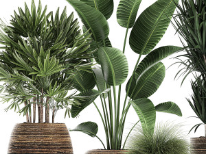 decorative plants in a basket 823 Modelo 3D