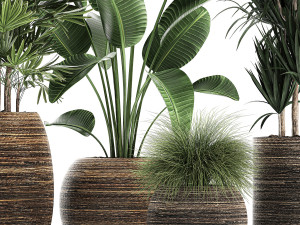 decorative plants in a basket 823 Modelo 3D