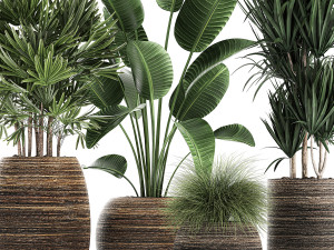 decorative plants in a basket 823 Modelo 3D