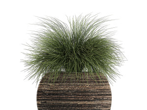decorative plants in a basket 823 Modelo 3D