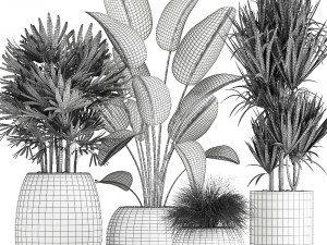 decorative plants in a basket 823 Modelo 3D
