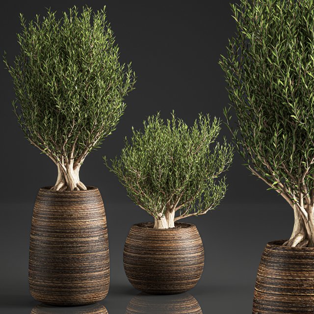 decorative trees in a basket 824 Modèle 3D .c4d .max .obj .3ds .fbx .stl .blend 