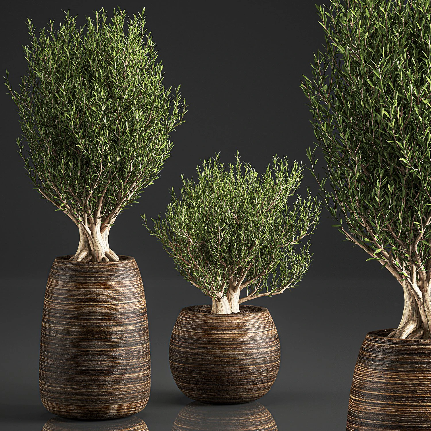 decorative trees in a basket 824 3D Model .c4d .max .obj .3ds .fbx .stl .blend 
