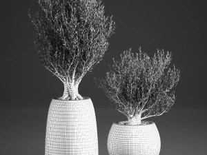 decorative trees in a basket 824 3D Model