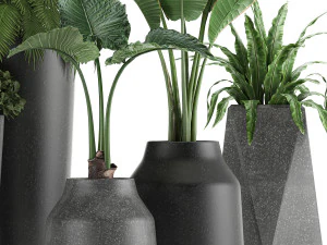 collection of decorative plants in flowerpots 825 3D Model