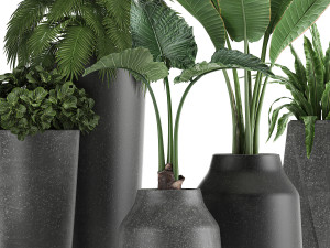 collection of decorative plants in flowerpots 825 3D Модель