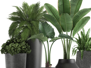 collection of decorative plants in flowerpots 825 3D Модель