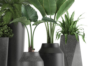 collection of decorative plants in flowerpots 825 3D Модель