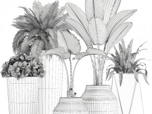collection of decorative plants in flowerpots 825 3D Модель