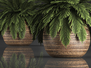decorative palm in a basket 826 3D 모델