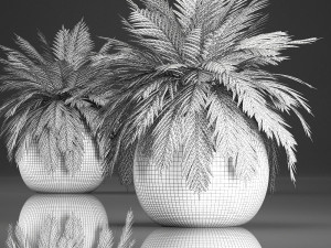 decorative palm in a basket 826 3D 모델