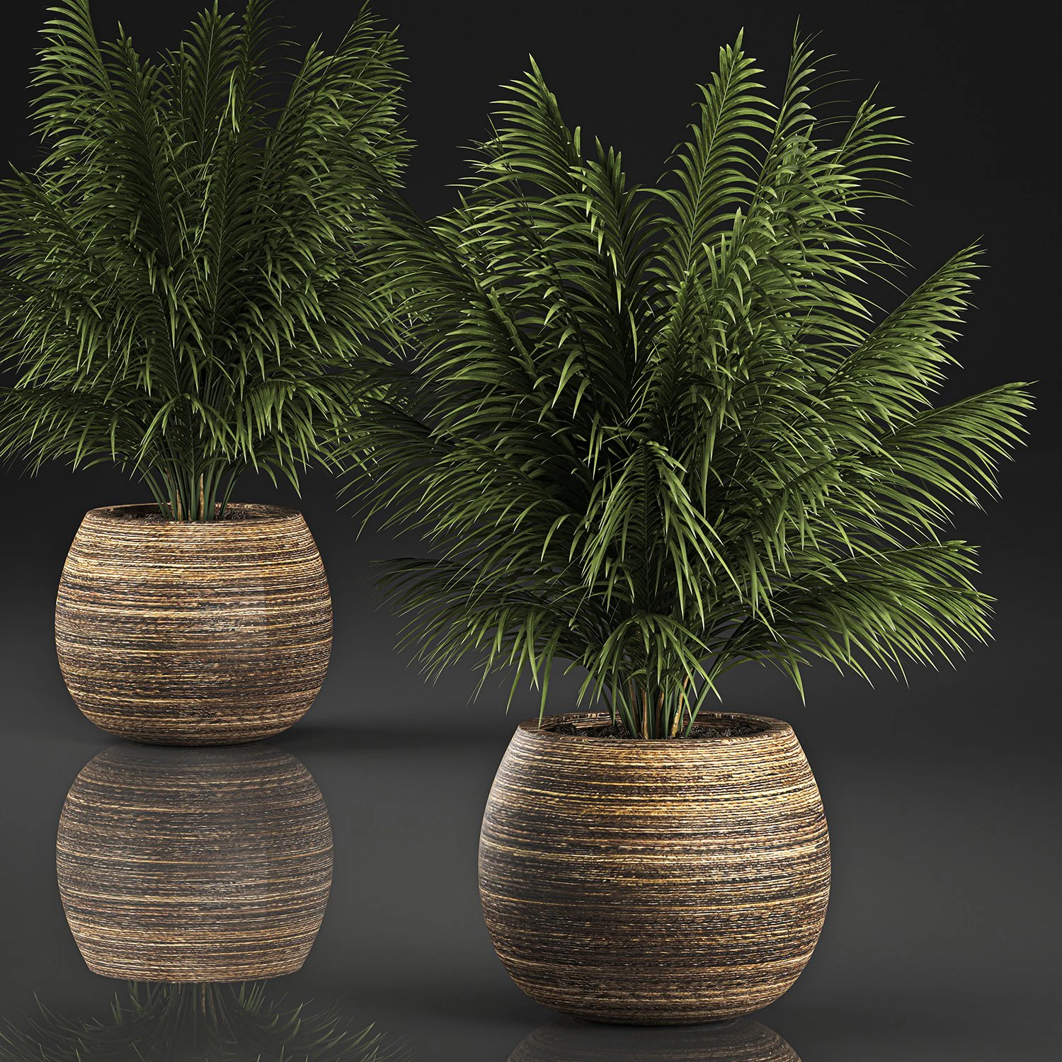 decorative palm in a basket 827 3D Model .c4d .max .obj .3ds .fbx .stl .blend 