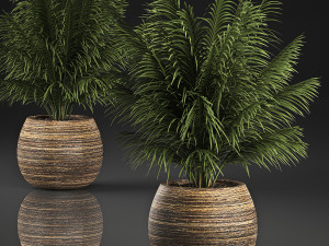 decorative palm in a basket 827 3D Model