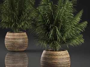 декоративная пальма в корзине 827 3D Модель