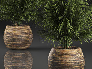 decorative palm in a basket 827 3D Модель