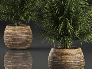 decorative palm in a basket 827 3D Model