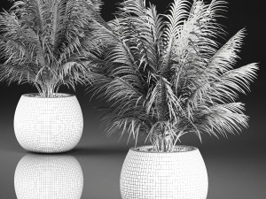 decorative palm in a basket 827 3D Модель