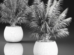 decorative palm in a basket 827 3D Model