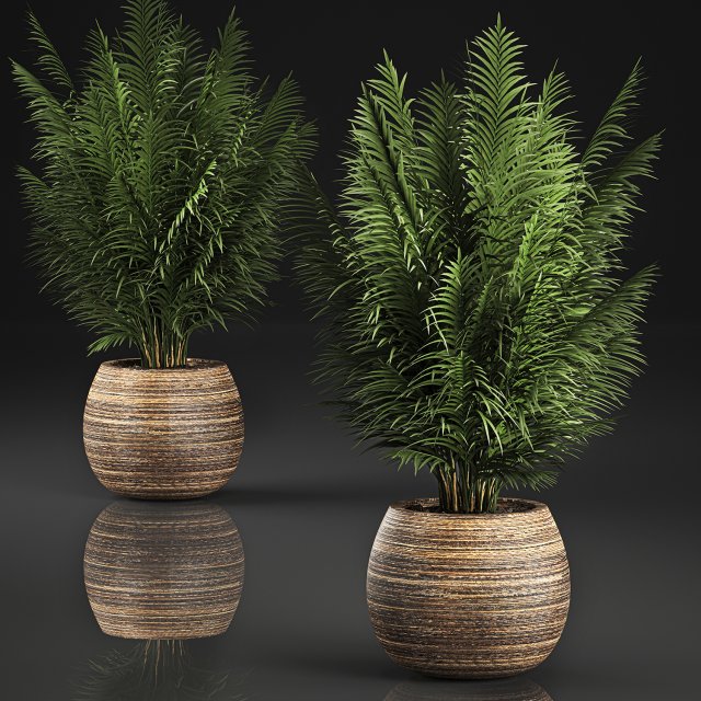 decorative palm in a basket 828 3D मॉडल .c4d .max .obj .3ds .fbx .stl .blend 