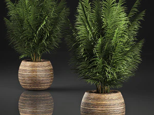 декоративная пальма в корзине 828 3D Модель