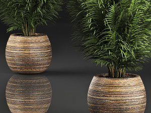 decorative palm in a basket 828 3D मॉडल