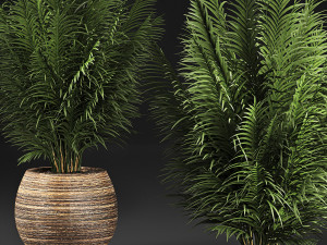 decorative palm in a basket 828 3D मॉडल