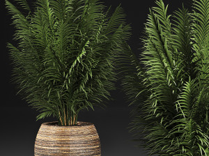 decorative palm in a basket 828 3D मॉडल