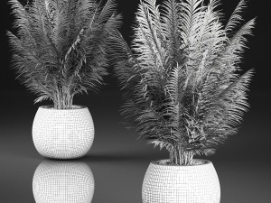 decorative palm in a basket 828 3D मॉडल