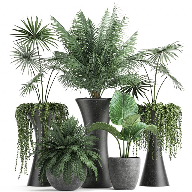 collection of decorative plants in flowerpots 829 3D Model .c4d .max .obj .3ds .fbx .stl .blend 