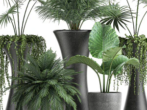 collection of decorative plants in flowerpots 829 3D Model