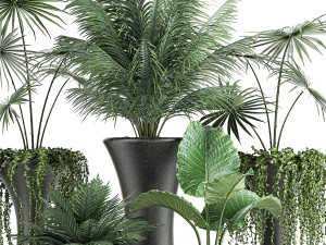 collection of decorative plants in flowerpots 829 3D Model