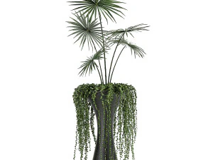 collection of decorative plants in flowerpots 829 3D Model