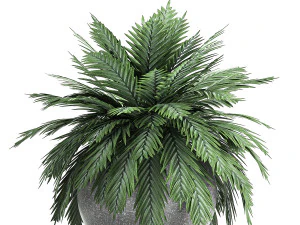 collection of decorative plants in flowerpots 829 3D Model